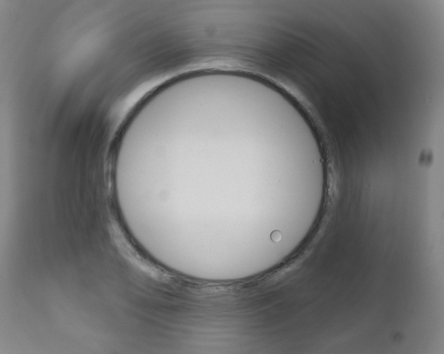 X0000111051078200906251114
