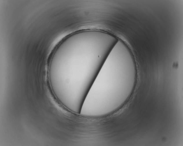 X0000111051079200906251114