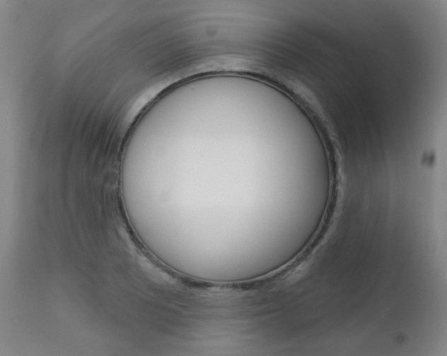 X0000111051081200906251114