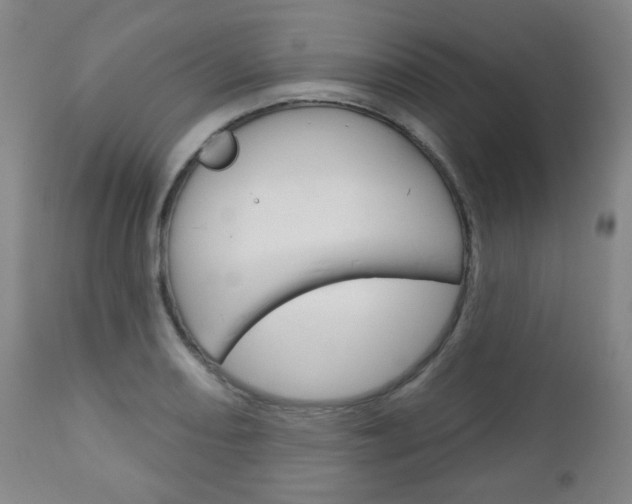 X0000111051082200906251114