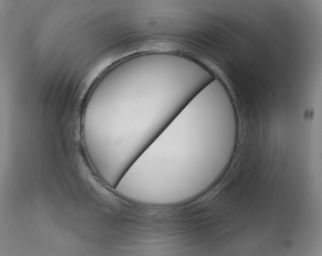 X0000111051083200906251114
