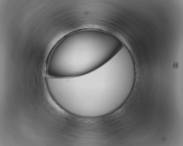 X0000111051084200906251114