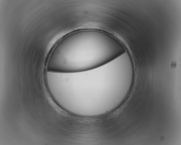 X0000111051085200906251114