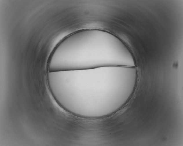 X0000111051087200906251114