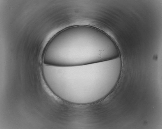 X0000111051088200906251114