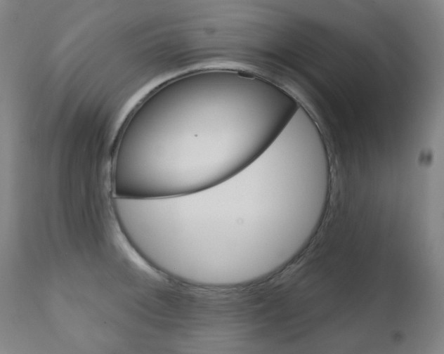 X0000111051092200906251113