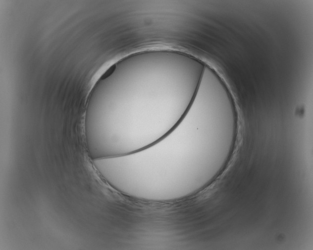 X0000111051097200906251113