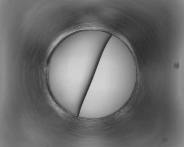X0000111051099200906251113