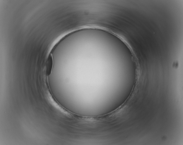 X0000111051100200906251113