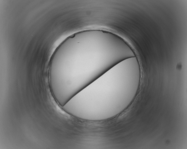 X0000111051102200906251113