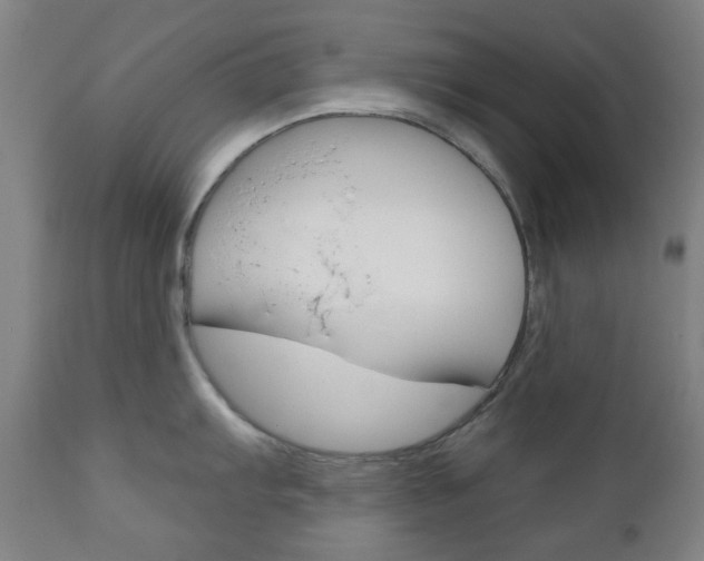 X0000111051103200906251113