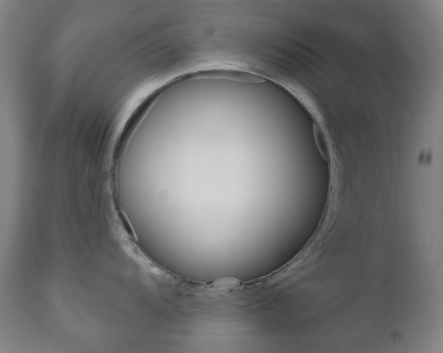 X0000111051104200906251113