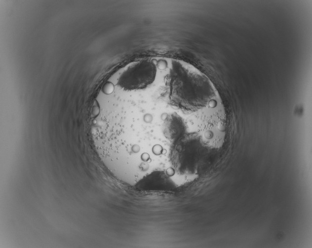 X0000111051105200906251113