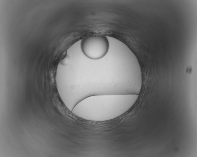 X0000111051106200906251113
