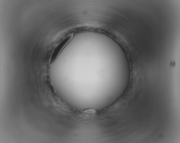 X0000111051110200906251113