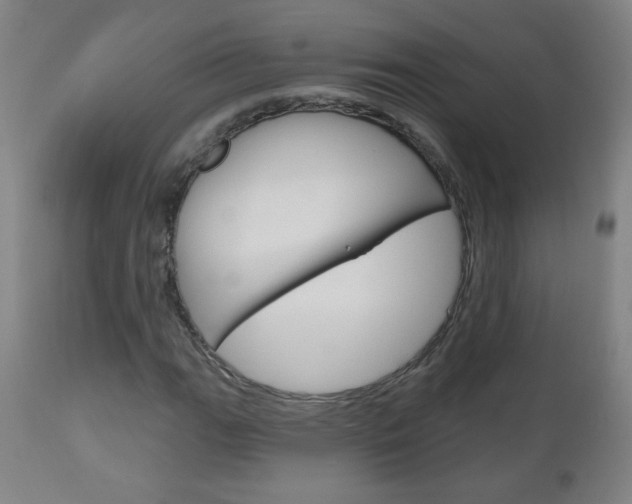 X0000111051111200906251113