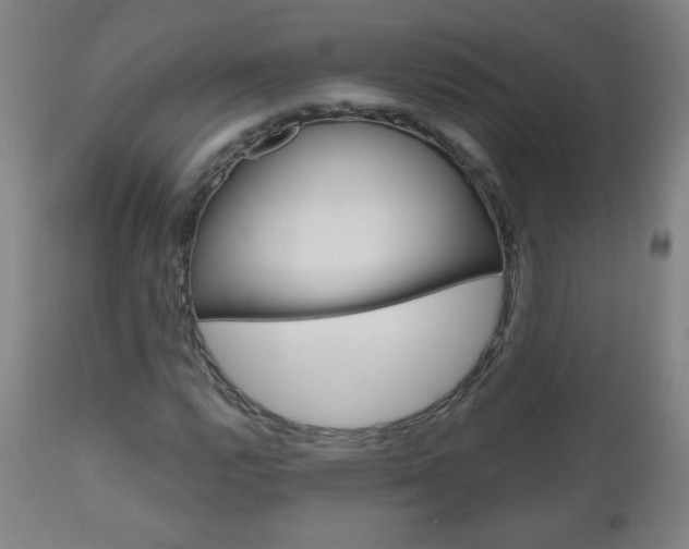 X0000111051112200906251113
