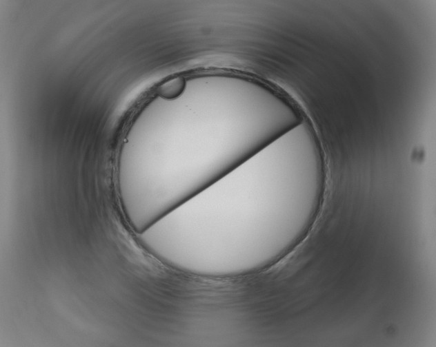 X0000111051115200906251113