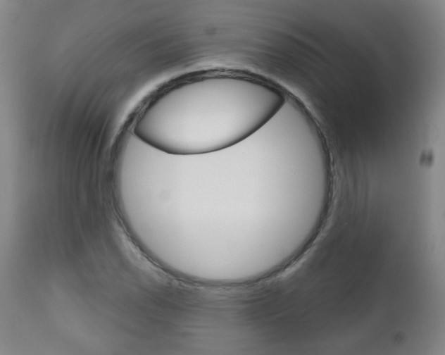 X0000111051118200906251113