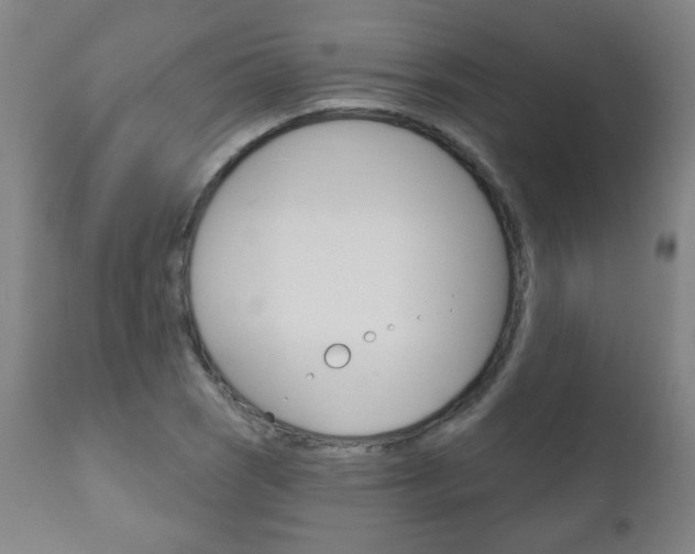 X0000111051121200906251113