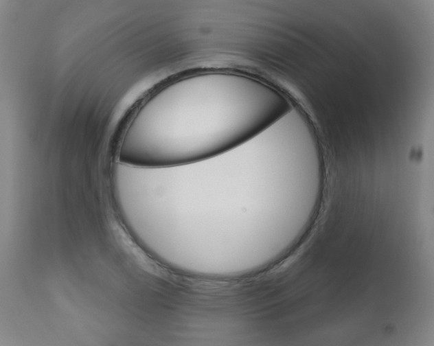 X0000111051122200906251113
