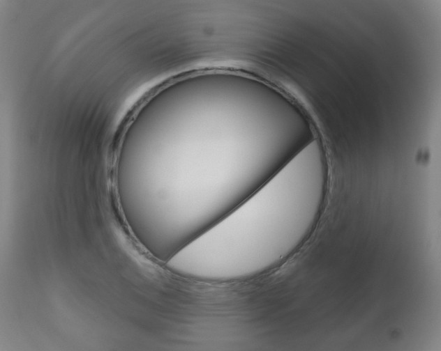 X0000111051124200906251113