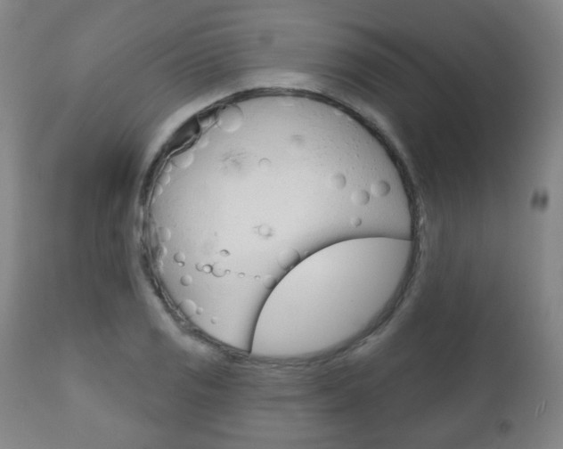 X0000111051125200906251113