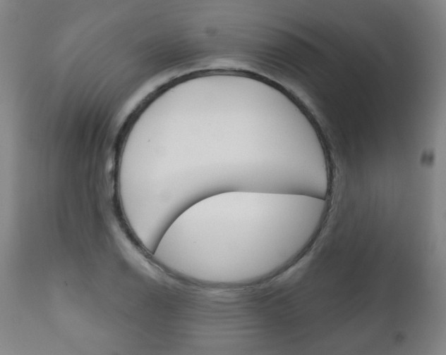 X0000111051126200906251113