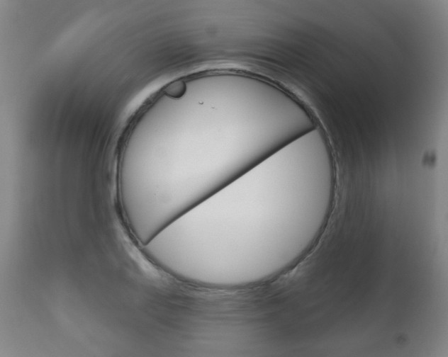 X0000111051127200906251113