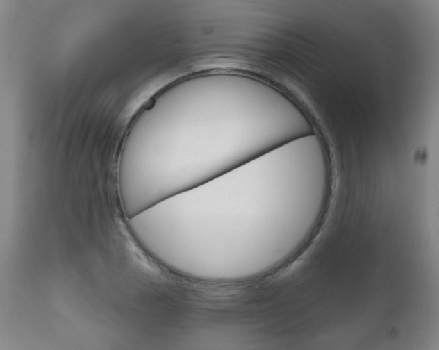 X0000111051129200906251113