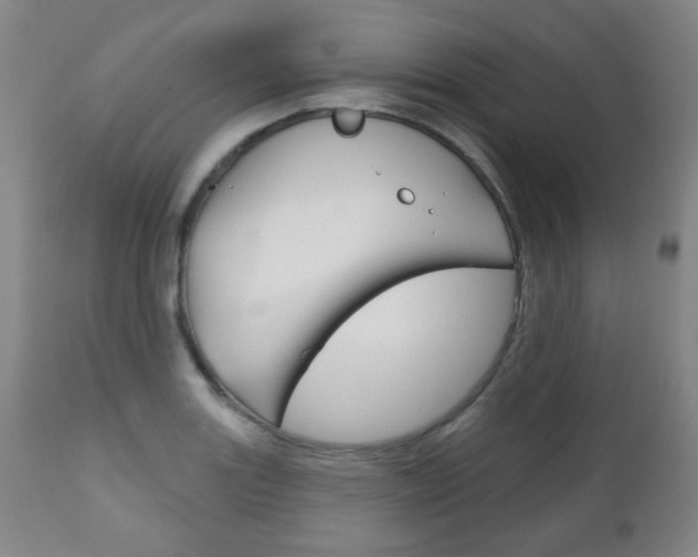 X0000111051131200906251113