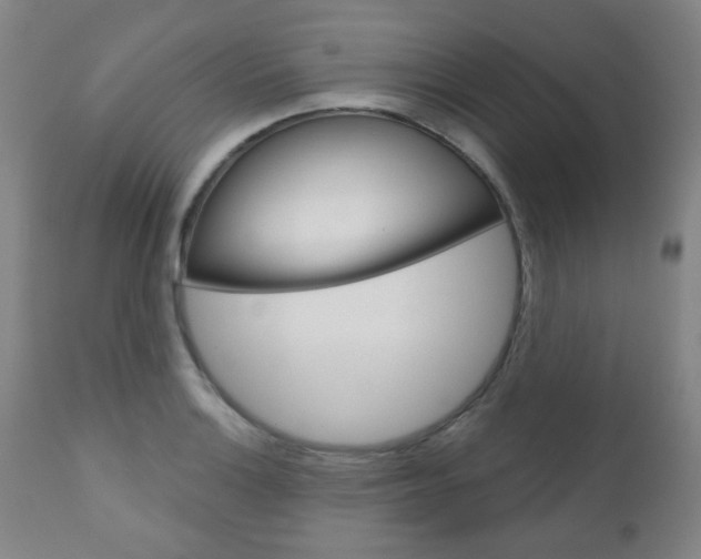 X0000111051132200906251113