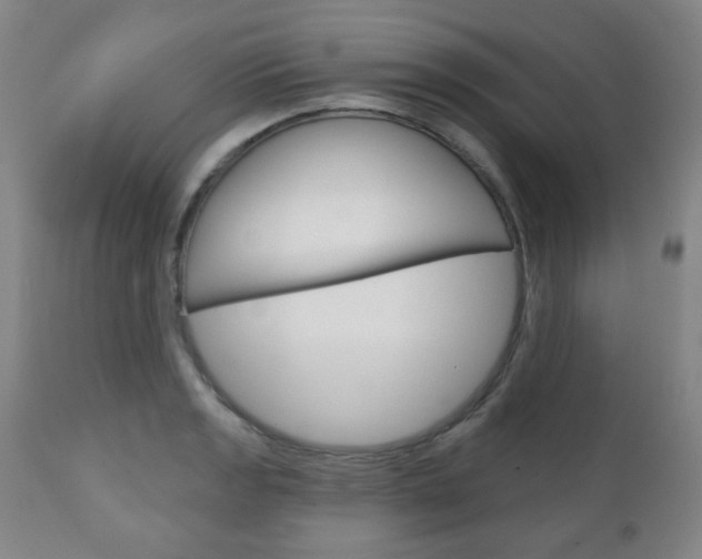 X0000111051133200906251113