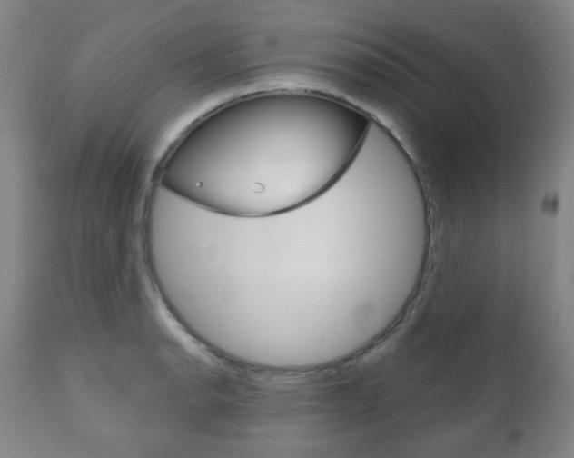 X0000111051134200906251113