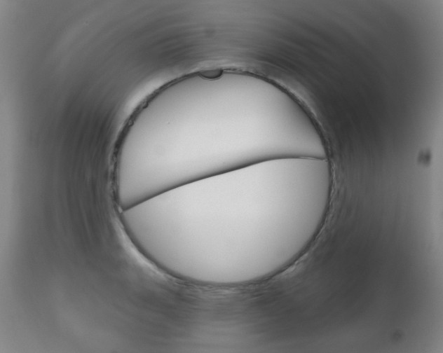 X0000111051135200906251113
