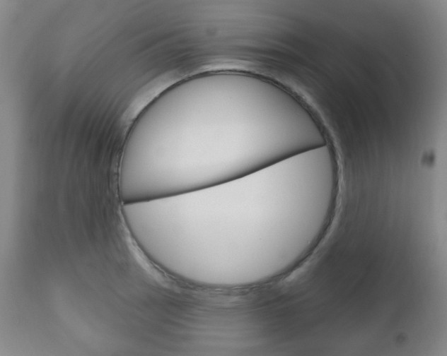 X0000111051137200906251113