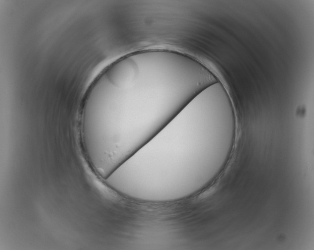 X0000111051149200906251113