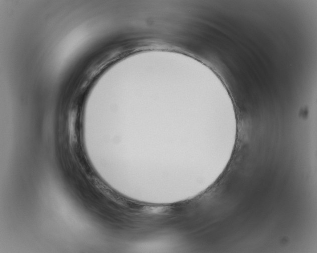 X0000111051150200906251113