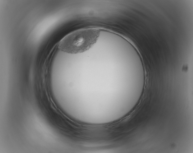 X0000111051151200906251113