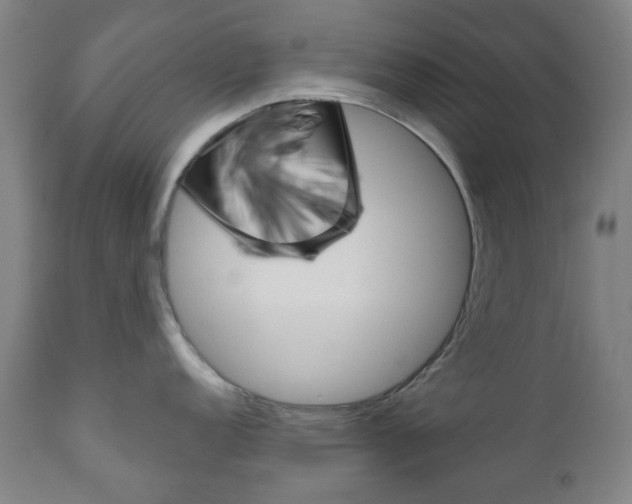 X0000111051152200906251113