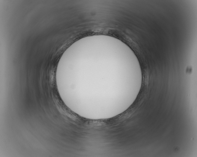 X0000111051154200906251113