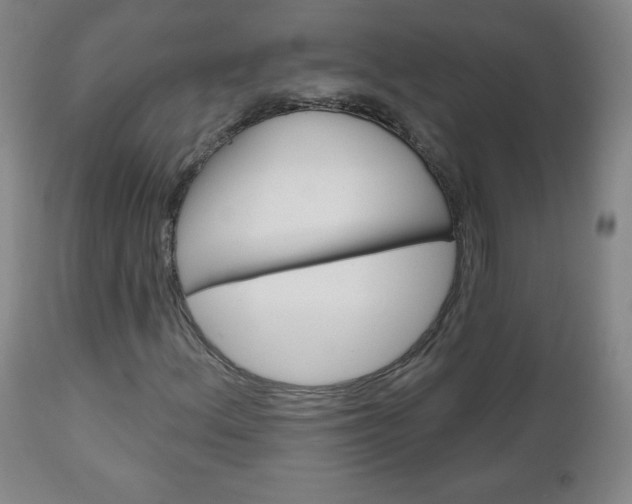 X0000111051156200906251113