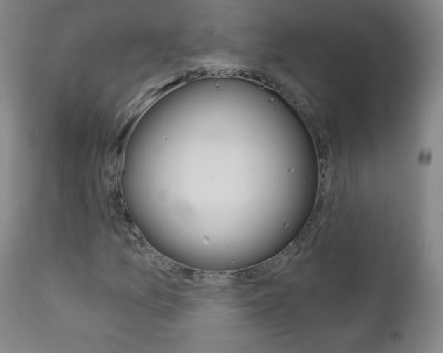 X0000111051157200906251113