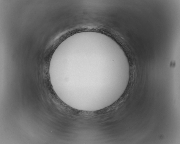 X0000111051158200906251113