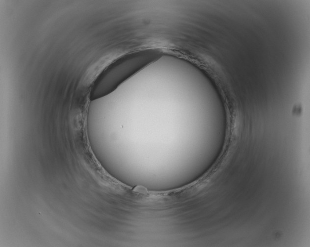 X0000111051161200906251113