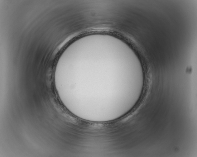 X0000111051162200906251113