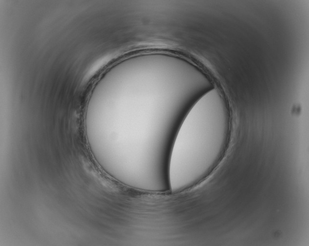 X0000111051163200906251113