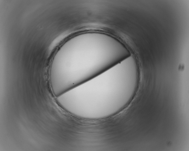 X0000111051164200906251113