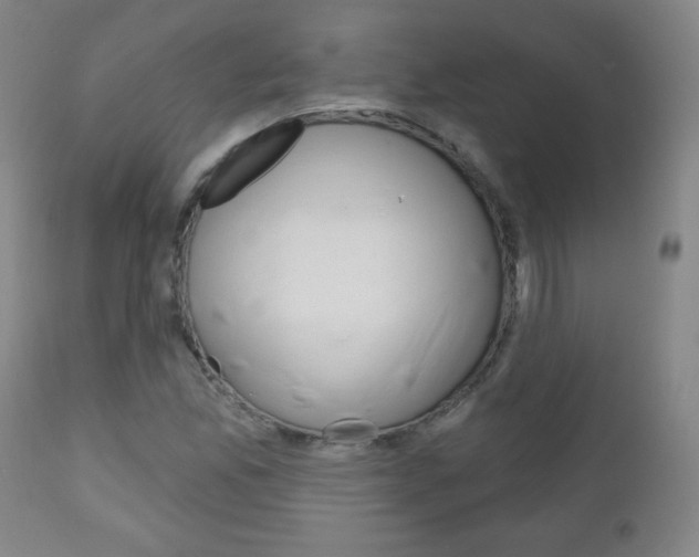 X0000111051165200906251112