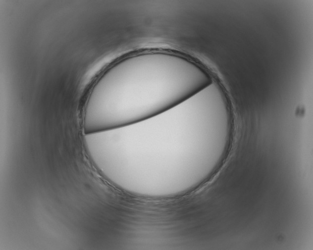 X0000111051167200906251112